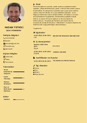 Havacılık Ve Uzay Uçak Mühendisi Cv Örnekleri cv indir